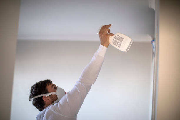 Best Mold Remediation  in Fallon, NV