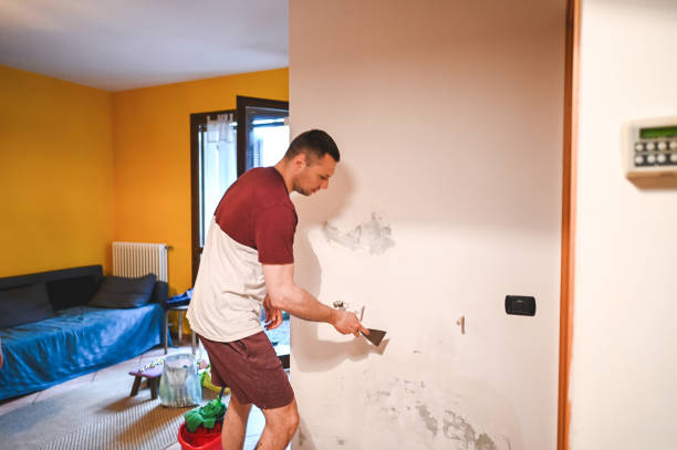 Best Office Mold Removal Services  in Fallon, NV